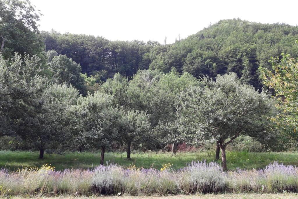 Gite "Entre Champsaur Et Valgodemard" Saint-Jacques-en-Valgodemard Exteriör bild